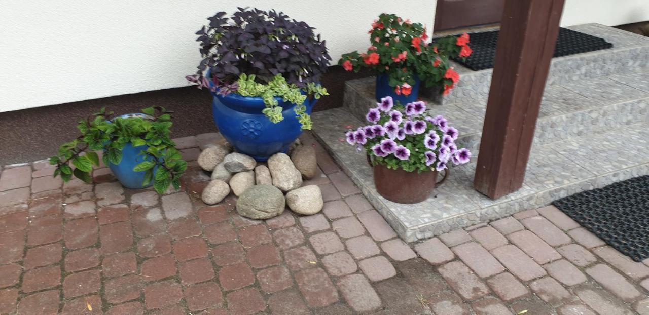 "Jutrzenka" Apartment Bialowieza Bagian luar foto